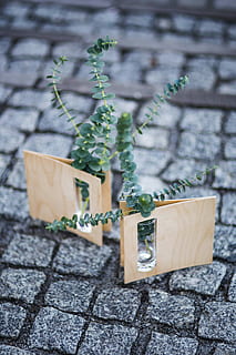 verde, plantas, pequeña, lentes, guijarro, miniatura, plantas verdes, ladrillos, planta, decoración, pequeño, ornamento, pavimento, mini, flor, naturaleza, crecimiento, nadie, color verde, hoja, día, planta en maceta, material de madera, parte de la planta, al aire libre, enfoque selectivo, frescura, de cerca, centrarse en primer plano, pared - característica de la construcción, belleza en la naturaleza, vista de alto ángulo, comida, botánica, maceta, jardinería, 5K, CC0, dominio público, libre de derechos