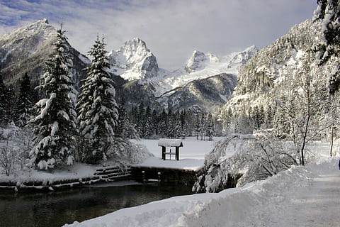 zăpadă, acoperit, Munte, alb, cer, iarnă, de iarnă, rece, copac, natură, vis de iarnă, peisaj, Austria, zi de vis, starea de iarnă, munţi, gheaţă, alpin, acoperit cu zăpadă, excursie pe jos, atmosfera, temperatura rece, în aer liber, pădure, scenics, frumusețe în natură, scenice - natura, apă, plantă, o scenă liniștită, liniște, nici o persoana, zi, lac, scenă non-urbană, un munte acoperit de zăpadă, îngheţat, conifer, ninsorile, 5K, CC0, domeniu public, fără drepturi de autor