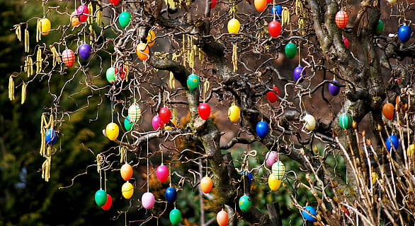 Pasqua, arbust, jardí, ous de Pasqua en arbre, decoracions de pasqua, ou, multicolor, penjant, cap gent, dia, marc complet, gran grup d'objectes, elecció, primer pla, abundància, decoració, variació, a l'aire lliure, fons, a la venda, centrar-se en primer pla, venda al detall, mercat, joieria, enfocament selectiu, visualització al detall, mercat de carrer, 1080P, CC0, domini públic, lliure de regalies