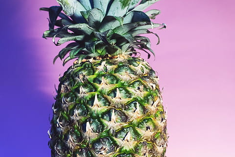 verde, frutto di ananas, avvicinamento, fotografia, ananas, dolce, aperitivo, frutta, succo, raccolto, sfondo colorato, girato in studio, sfondo rosa, colore rosa, nessuno, assistenza sanitaria e medicina, cibo, freschezza, supplemento nutrizionale, frutta tropicale, mangiare sano, cibo e bevande, in casa, benessere, colore verde, singolo oggetto, crescita, parte vegetale, natura, maturo, viola, 5K, CC0, dominio pubblico, privo di copyright