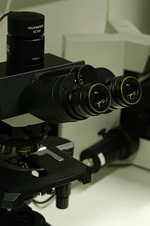 microscope, laboratoire, recherche, science, équipement, objectif - instrument optique, La technologie, thèmes de la photographie, appareil photo - équipement photographique, appareil photo numérique, fermer, à l'intérieur, matériel photographique, caméra, se concentrer sur le premier plan, culture artistique et divertissement, couleur noire, personne, lentille - oeil, caméra vidéo domestique, industrie du cinéma, vidéo, la communication, nature morte, 2K, CC0, domaine public, libre de droits