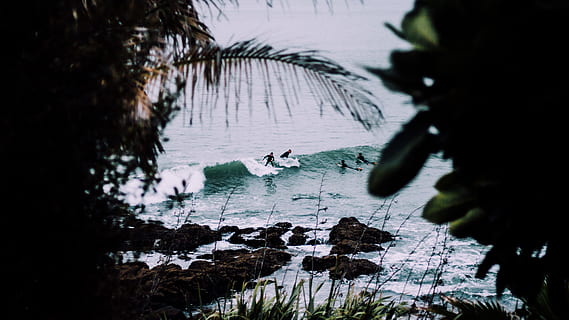 mennesker, ridning, surfbrætter, folk surfer, seawaves, dagtimerne, udsigt, surfing, dag, tid, natur, vand, træ, afspejling, sø, udendørs, ingen mennesker, hav, rolig scene, plante, klippe, rock-objekt, skønhed i naturen, solid, høj vinkel visning, silhuet, ro, dyr, bevægelse, selektiv fokusering, bjerg, 5K, CC0, offentligt domæne, royaltyfrie