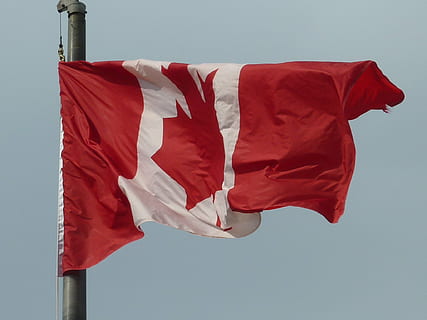 canada, flag, flag fluttering, red, patriotism, wind, environment, sky, no people, white color, textile, blue, nature, day, low angle view, outdoors, gray, pole, clear sky, hanging, emotion, blue background, 1080P, CC0, public domain, royalty free
