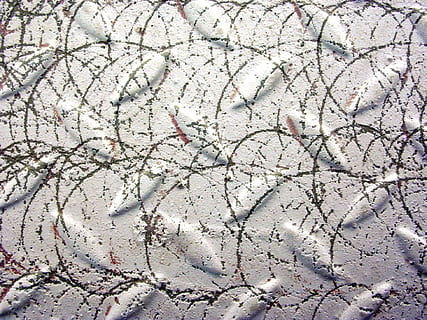 arkusz, wzór, porysowany, pełna ramka, tła, żadnych ludzi, teksturowane, dzień, roślina, pęknięty, Natura, funkcja budowy ścian, zbliżenie, na dworze, wylądować, drzewo, wysoki kąt widzenia, naturalny wzór, architektura, piękno natury, suchy, solidny, beton, 1080P, CC0, domena publiczna, darmowe zdjęcia