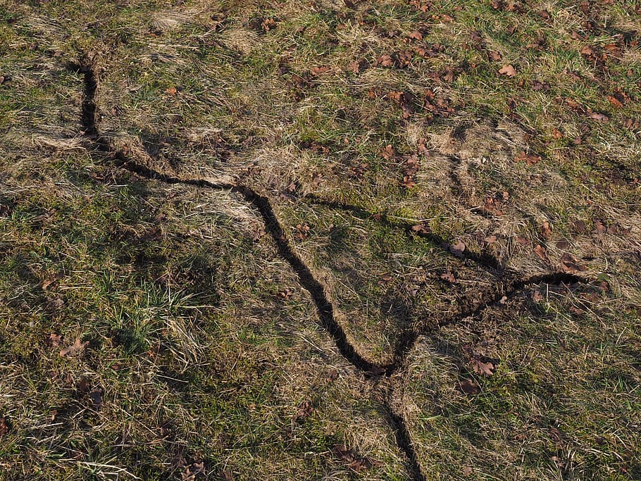 Maus, Geschwindigkeit, Weg, Pfad, Mausgeschwindigkeit, Mauspfad, Wiese, Gang, Muster, Natur, Hintergründe, draußen, Land, Gras, texturiert, keine Leute, Baum, Tag, Vollbild, Pflanze, Wachstum, grüne Farbe, High Angle View, Ruhe, Schönheit in der Natur, Feld, Umgebung, Wald, Nicht-städtische Szene, Landschaft, trockenes Klima, 4K