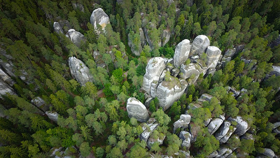 antenne, udsigt, træer, dagtimerne, høj vinkel visning, hvid, beton, stande, omgivet, klipper, Skov, sten-, træ, luftfoto, grøn, grå, drone, plante, skønhed i naturen, natur, ingen mennesker, solid, klippe, jord, dag, rock-objekt, vækst, scenics - natur, rolig scene, ro, ikke-urbane scene, grøn farve, miljø, udendørs, turisme, 4K
