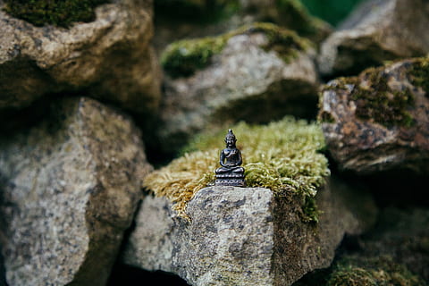 Castanho, miniatura, pedra, gautama buddha, cinzento, Buda, metal, estatueta, rochas, budismo, zen-like, rock - objeto, pedra - objeto, natureza, Ásia, cultura do leste asiático, espiritualidade, cena tranquila, material de pedra, ao ar livre, religião, ninguém, dia, arquitetura, sólido, Rocha, temas animais, animal, animais selvagens, um animal, animais em estado selvagem, vertebrado, texturizado, fechar-se, foco seletivo, focar em primeiro plano, invertebrado, beleza na natureza, formação rochosa, 4K, CC0, domínio público, royalty free