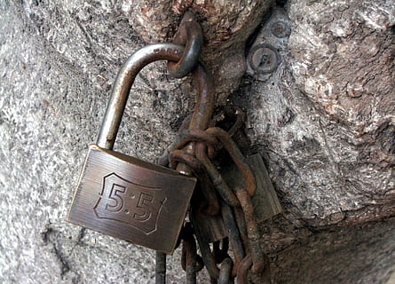 kilit, ped, ağaç, Zincir, asma kilit, güvenlik, Emniyet, koruma, kasa, iletişim, Metin, açık havada, gün, metal, insansız, kapatmak, paslı, batı yazısı, eski, bağ, ekli, katı, asılı, dokulu, gümüş renkli, 720P, CC0, kamu malı, telif ücretsiz