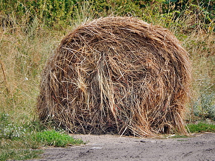 fieno, pagliaio, fienagione, raccogliere, pianta, terra, natura, campo, balla, giorno, nessuno, erba, all'aperto, agricoltura, azienda agricola, scena rurale, asciutto, Marrone, paesaggio, albero, cannuccia, la tranquillità, crescita, 4K, CC0, dominio pubblico, privo di copyright