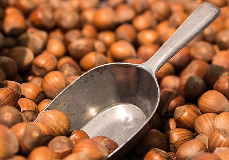 Abu-abu, sendok, biji kopi, kacang hazel, gila, coklat, kerang, makro, peralatan dapur, makanan dan minuman, makanan, peralatan Rumah tangga, makan sehat, kesegaran, kesejahteraan, alat makan, kelimpahan, merapatkan, kacang, kacang - makanan, bahan kayu, tidak ada orang, dalam ruangan, sekelompok besar objek, pasar, fokus selektif, sendok kayu, 1080P, CC0, domain publik, bebas royalti
