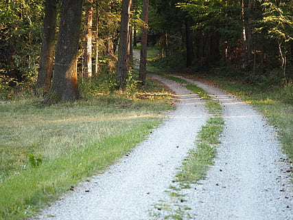 lontano, sentiero, percorso migratorio, escursioni a piedi, natura, paesaggio, prato, alberi, enge, le foglie, legna, arbusti, pista, passaggio, cespugli, wegchen, riposo, silenzioso, rilassamento, recupero, pensiero, sfondo, escursione, sentiero nel bosco, verde, erba, Lichtspiel, solitario, ancora, idillio, foresta, albero, pianta, la strada davanti, strada, direzione, terra, mezzi di trasporto, la tranquillità, nessuno, bellezza nella natura, crescita, scena tranquilla, giorno, colore verde, tronco d'albero, prospettiva decrescente, tronco, all'aperto, bosco, 4K, CC0, dominio pubblico, privo di copyright