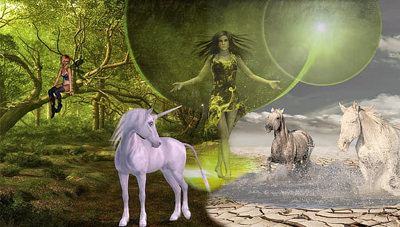 Fata, in piedi, unicorno, Due, in esecuzione, cavalli, digitale, sfondo, fantasia, elfo, foresta, misticismo, creature mitiche, fotomontaggio, deserto, donna, tra mondo, modifica delle immagini, foto di fantasia, paesaggio, acqua, fango, temi animali, animale, mammifero, gruppo di animali, fauna selvatica, natura, albero, pianta, animali domestici, vertebrato, animali allo stato selvatico, all'aperto, bestiame, terra, giorno, domestico, cavallo, nessuno, campo, composito digitale, erbivoro, 2K, CC0, dominio pubblico, privo di copyright