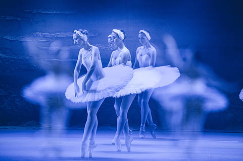 tanzende Ballerinas, Ballett, Performance, tanzen, Vogel, Tier, Tierthemen, Tiere in freier Wildbahn, Wasser, Tierwelt, Natur, Wirbeltier, Blau, fliegend, Gruppe von Tieren, keine Leute, in voller Länge, Bewegung, Stehen, Himmel, weiße Farbe, Flamingo, Möwe, Vogelschwarm, 4K, CC0, gemeinfrei, lizenzfrei