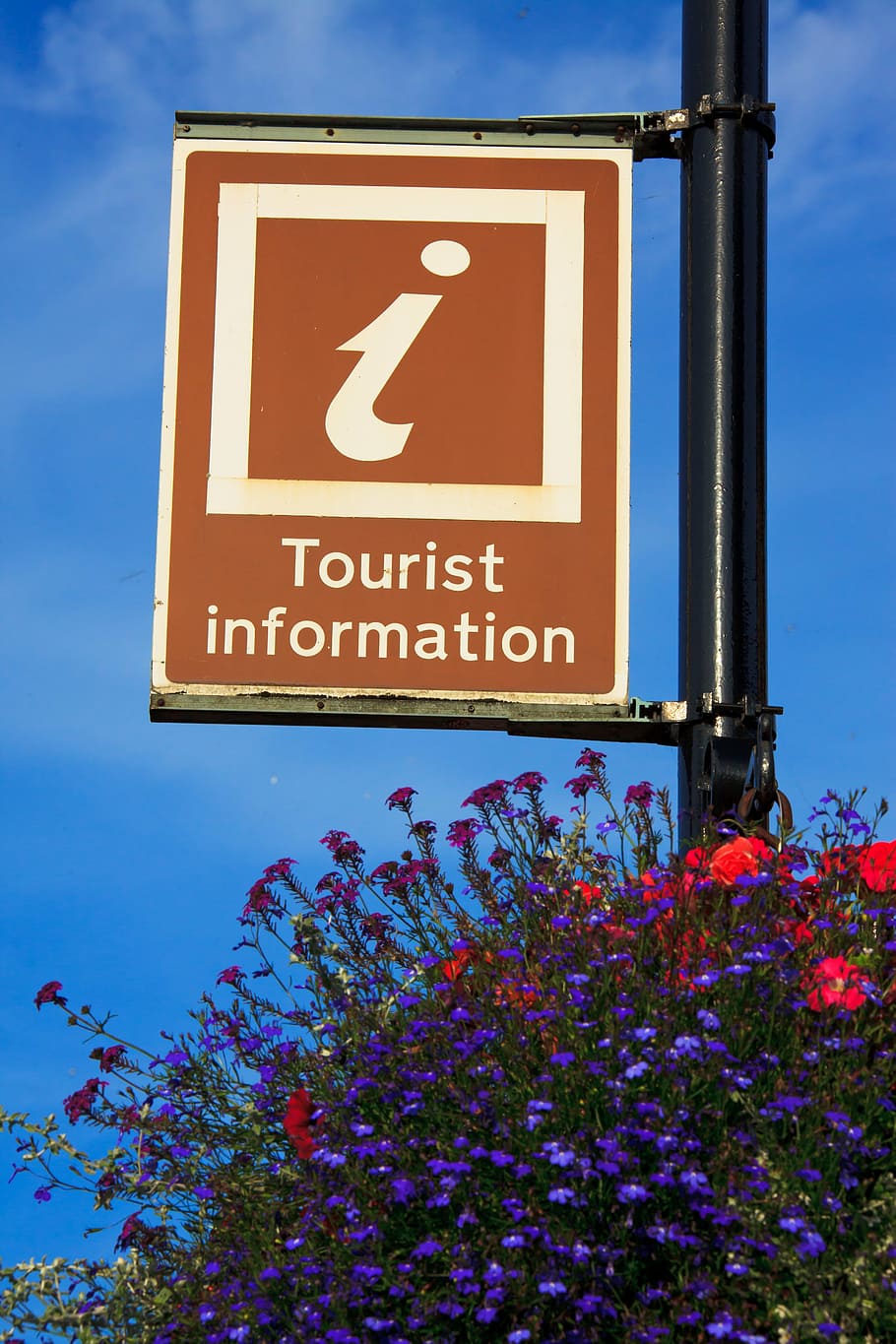 turistinformation, Spørg, blå, Brun, Hjælp, ikon, info, Information, service, skilt, vejskilt, himmel, support, symbol, turisme, turist, rejse, blomst, blomster, plante, meddelelse, lav vinkel visning, natur, ingen mennesker, blomstrende plante, dag, vækst, tekst, udendørs, tæt på, arkitektur, informationsskilt, sollys, bygget struktur, 4K