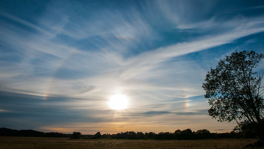 marró, camp, blanc, cel, naturalesa, posta de sol, solfenomen, arbre, núvol, paisatges, himmel, bellament, suècia, mellerud, horitzó, atmosfera, anar, fullatge, fusta dura, estiu, llit, cel blau, halo, haloringar, tarda, arbustos, molnslöjor, país, blau, camps grocs, colors, suec, herba, tardor, escenics, bellesa a la natura, tranquil·litat, escena tranquil·la, paisatge, cap gent, núvol - cel, escenics - natura, medi ambient, planta, terra, escena no urbana, llum solar, sol, escena rural, creixement, 4K