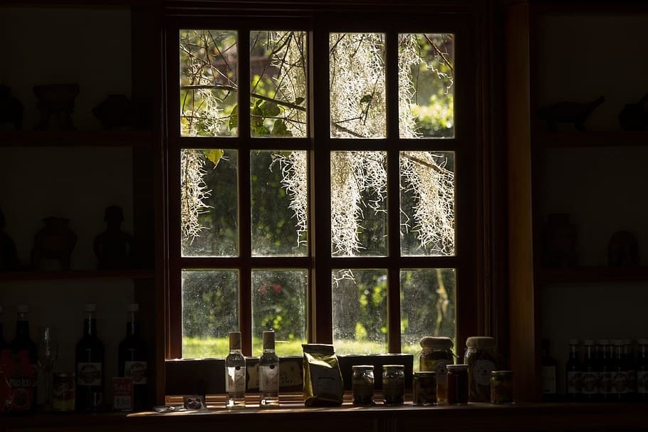 grå, træ-, indrammet, glas vindue, kontrast, baggrundsbelysning, vindue, arkitektur, silhuetter, blade, skygger, udsigt mod udefra, hus, indendørs, ingen mennesker, dag, gennemsigtig, glas - materiale, plante, træ, bord, sollys, natur, beholder, glas, bygning, hylde, mad og drikke, flaske, vinduesramme, porcelæn, 4K