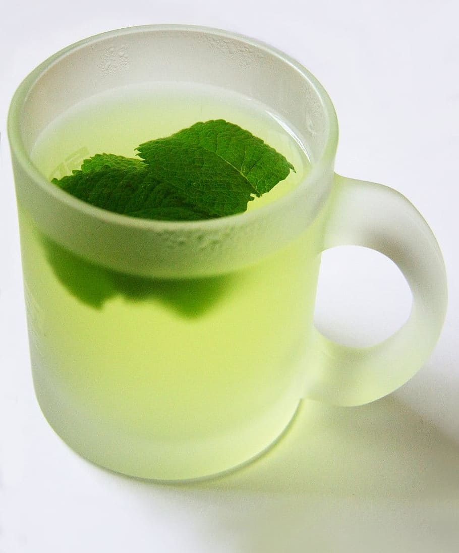 blanc, translúcid, tassa, ple, te de menta, tee, menta, calenta, beure, color verd, alimentació saludable, refresc, fons blanc, menjar i beguda, menjar, herba, frescor, natura morta, primer pla, fulla de menta - culinària, a l'interior, full, te, taula, cap gent, beguda calenta, benestar, begudes sense alcohol, tassa de te, vaixella, vidre,