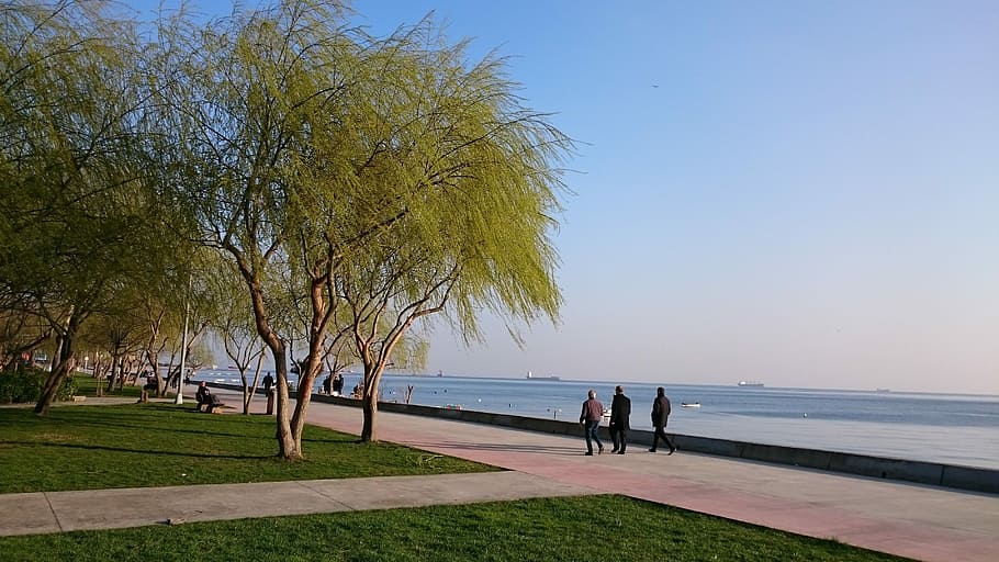 istanbul, eagle, beach, Ørn, Strand, hav, mennesker, utendørs, natur, reise steder, vann, tre, himmel, anlegg, gruppe med folk, gress, skjønnhet i naturen, voksen, kvinner, land, naturskjønnhet - natur, fritidsaktivitet, klar himmel, menn, dag, horisont over vann, 4K