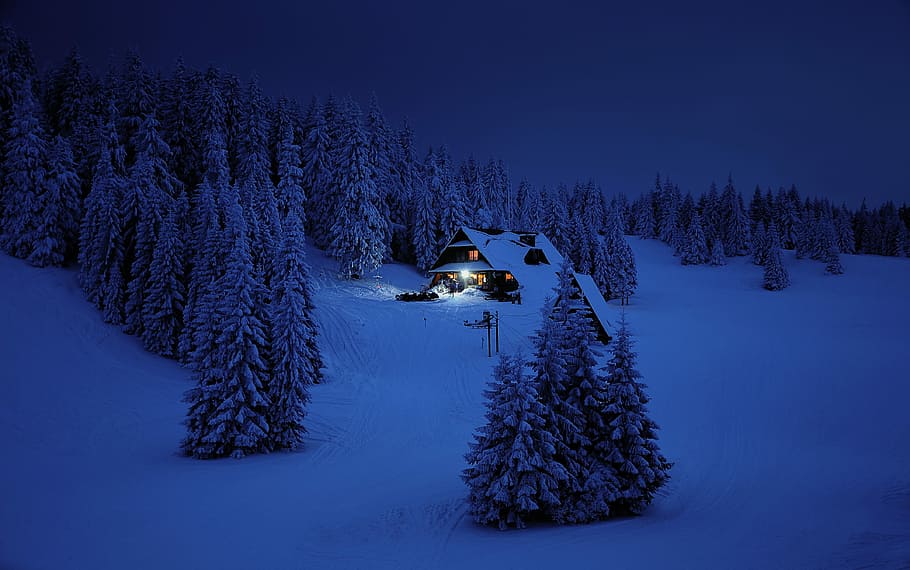 casa, envoltat, pins, nit, neu, hivern, muntanyes, llum, acollidor, esperança, vista, naturalesa, paisatge, Polònia, bosc, casa de camp, refugi, objectiu, turisme, beskids, temperatura de fred, arbre, escenics - natura, planta, terra, pi, bellesa a la natura, muntanya, arbre de coníferes, medi ambient, tranquil·litat, escena tranquil·la, cap gent, bosc de pi, avet, 4K