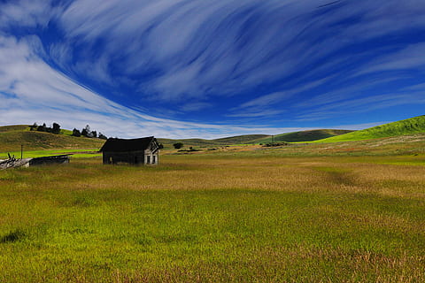 illustrasjon, hus, blå, himmel, dagtid, blå himmel, dag, tid, landlige scene, landskap, natur, felt, scenics, jordbruk, gress, ikke-urbane scene, gård, utendørs, eng, landskaper, grønn farge, ingen folk, fargebilde, uk, england, sky - himmel, miljø, land, naturskjønnhet - natur, rolig scene, ro, anlegg, skjønnhet i naturen, arkitektur, bygget struktur, 5K, CC0, offentlig domene, opphavsrett gratis