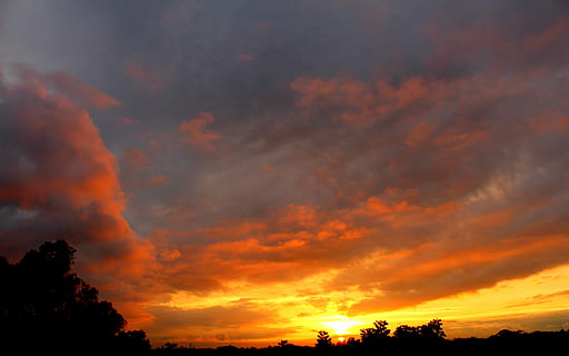 backlit, terang, awan, gelap, Fajar, dramatis, senja, malam, pemandangan, cahaya, alam, di luar rumah, tenang, bayangan hitam, langit, musim panas, matahari, matahari terbit, matahari terbenam, pohon, cuaca, awan - langit, keindahan di alam, warna oranye, scenics - alam, adegan yang tenang, ketenangan, tidak ada orang, idilis, menanam, langit yang dramatis, tampilan sudut rendah, cloudscape, adegan non-urban, 5K