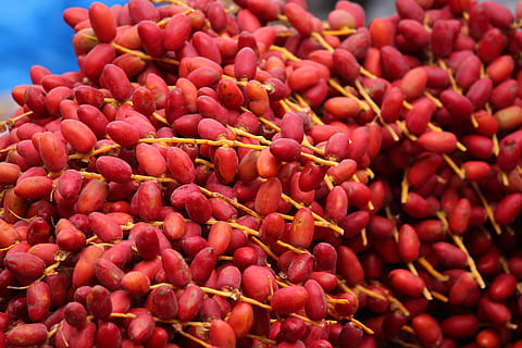 fresc, dates, fruita, menjar, madur, vermell, a l'aire lliure, cap gent, frescor, dia, gran grup d'objectes, alimentació saludable, menjar i beguda, abundància, benestar, mercat, marc complet, a la venda, venda al detall, fons, primer pla, Paradeta, vegetals, natura morta, visualització al detall, 5K, CC0, domini públic, lliure de regalies