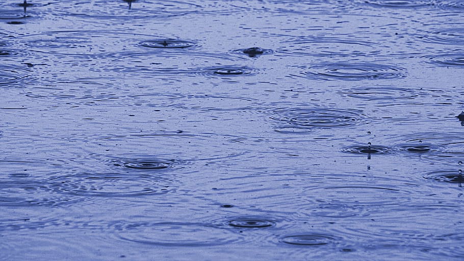 pluja, imatge de fons, textura, tancar, degoteig, gota de pluja, esprai, fred, humit, posa fi, precipitar, temps, llac, mar, aigua, districte, fons, superfície, creativitat, estructura, patró, resum, cap gent, ondulat, marc complet, naturalesa, dia, a l'aire lliure, vista d’angle alt, davant del mar, blau, tirar, tranquil·litat, bellesa a la natura, vertebrats, concèntric, 2K