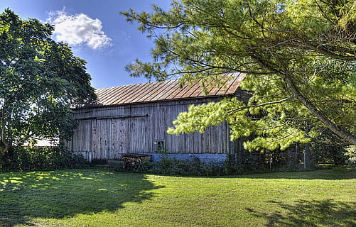 Scheune, rustikal, Scheunen, Ohio, digitale Kunst, ländlich, szenisch, Land, Landschaft, Schuppen, wirft, Bauernhof, Bauernhöfe, Landwirtschaft, landwirtschaftlich, Bauernhaus, champaign, Bezirk, Americana, Foto, fotografieren, Struktur, Strukturen, sturgell, William Sturgell, bill sturgell, historisch, Wohnkultur, Gebäude, Wolken, Himmel, Baum, Bäume, wolkig, Unkraut, Champaign County, Urbana, Pflanze, die Architektur, gebaute Struktur, Gebäudehülle, Gras, Natur, grüne Farbe, keine Leute, Wachstum, Tag, wolke - himmel, draußen, Sonnenlicht, landwirtschaftliches Gebäude, Haus, ländliche Szene, 4K, CC0, gemeinfrei, lizenzfrei