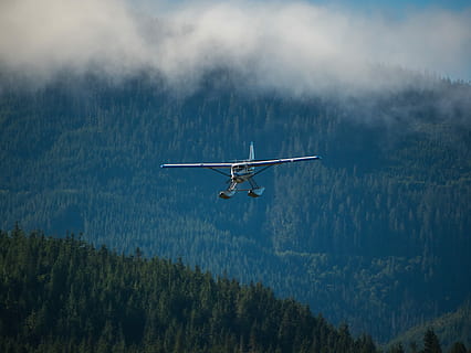 avió, muntanya, cobert, arbres, blau, blanc, helicòpter, cel, núvols, volant, bosc, transport, arbre, Canadà, columbium britànic, volar, hidroavió, verd, boira, vehicle aeri, a l'aire, planta, manera de transport, naturalesa, cap gent, escenics - natura, viatjar, núvol - cel, moviment, bellesa a la natura, dia, a l'aire lliure, indústria aeroespacial, 4K, CC0, domini públic, lliure de regalies