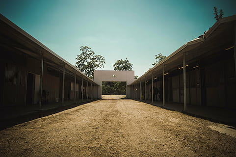 perspektiv, stalde, bygning, struktur, arkitektur, Land, arkitektoniske, hest, udendørs, ranch, naturskøn, bygget struktur, bygning udvendig, himmel, natur, vejen frem, træ, ingen mennesker, retning, dag, plante, boligområde, by, sollys, hus, faldende perspektiv, rejsemål, vindue, 5K, CC0, offentligt domæne, royaltyfrie