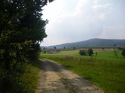 paisatge, baviera, reportat, planta, cel, carretera, escena tranquil·la, direcció, herba, medi ambient, escenics - natura, arbre, naturalesa, el camí a seguir, núvol - cel, bellesa a la natura, tranquil·litat, terra, transport, escena no urbana, camp, Carretera bruta, cap gent, a l'aire lliure, llarg, 4K, CC0, domini públic, lliure de regalies