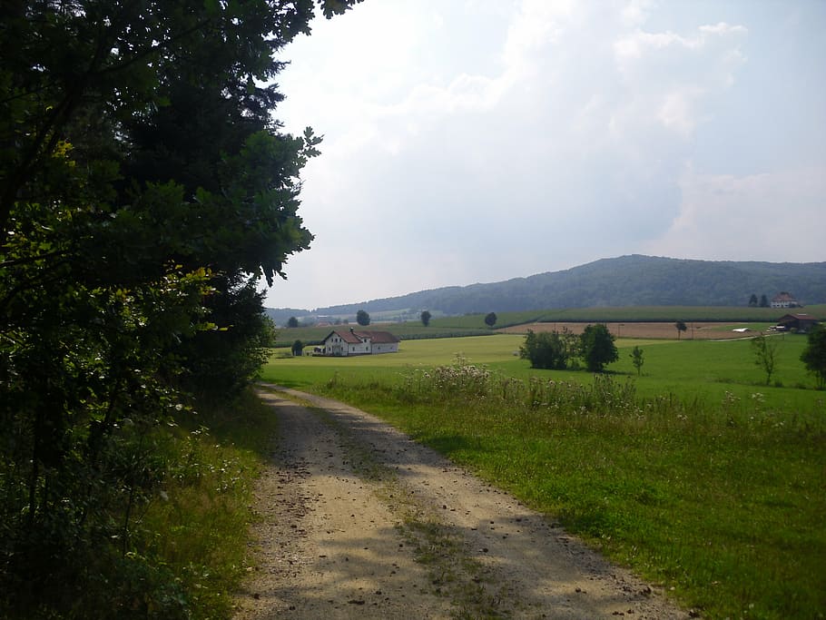 Landschaft, Bayern, berichtet, Pflanze, Himmel, Straße, ruhige Szene, Richtung, Gras, Umgebung, Szenen - Natur, Baum, Natur, der Weg nach vorn, wolke - himmel, Schönheit in der Natur, Ruhe, Land, Transport, Nicht-städtische Szene, Feld, Schotterstraße, keine Leute, draußen, lange, 4K