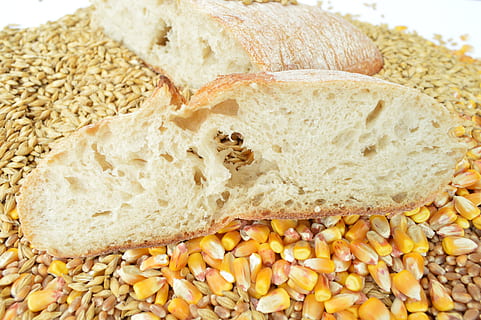 brød, frokostblandinger, hvete, mat, mat og Drikke, spise sunt, velvære, nærbilde, friskhet, ingen folk, kornblanding, innendørs, gruppe av objekter, hel hvete, avling, variasjon, skjære, rå mat, valg, stilleben, måltid, frokost, 5K, CC0, offentlig domene, opphavsrett gratis