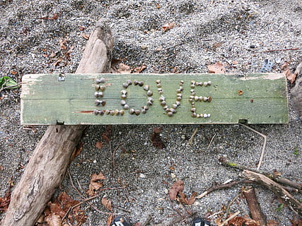Liebe, Sand, panel, Holz - Material, Tag, keine Leute, Natur, Pflanze, Land, draußen, Nahansicht, High Angle View, Metall, rostig, Holz, Text, alt, Feld, Pflanzenteil, Blatt, verwittert, Baum, Bank, 4K, CC0, gemeinfrei, lizenzfrei