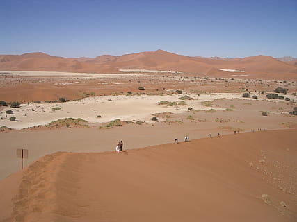 desert, sorra, einsamkeit, clima àrid, temes d'animals, paisatge, naturalesa, animal, terra, escenics - natura, duna de sorra, medi ambient, clima, bellesa a la natura, muntanya, dia, escena no urbana, cel, tranquil·litat, escena tranquil·la, viatjar, homes, terrenys extrems, a l'aire lliure, 1080P, CC0, domini públic, lliure de regalies