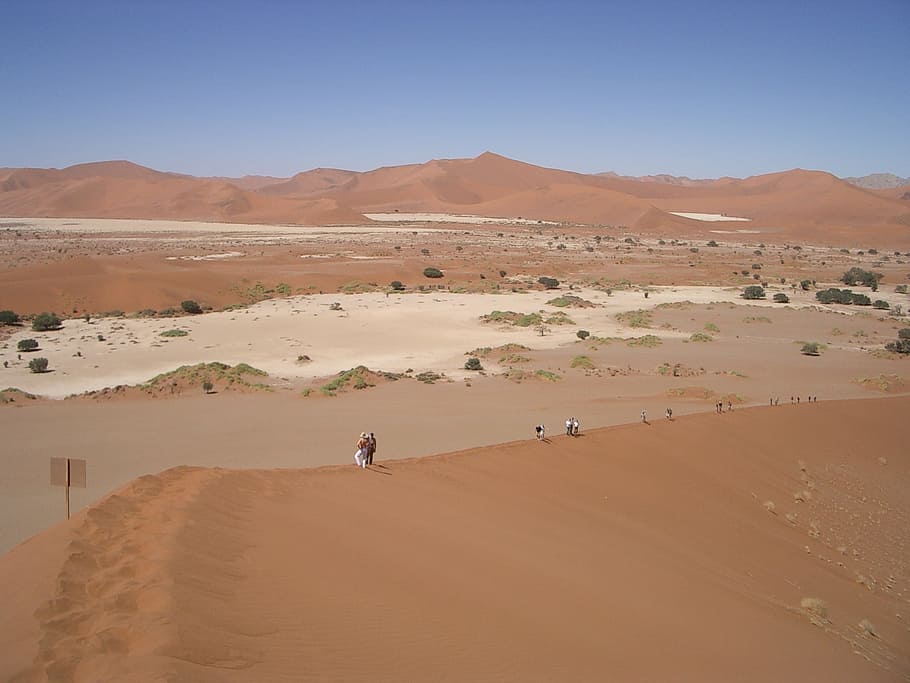 desert, sorra, einsamkeit, clima àrid, temes d'animals, paisatge, naturalesa, animal, terra, escenics - natura, duna de sorra, medi ambient, clima, bellesa a la natura, muntanya, dia, escena no urbana, cel, tranquil·litat, escena tranquil·la, viatjar, homes, terrenys extrems, a l'aire lliure, 1080P