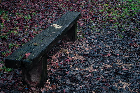 panchina, sentiero, albero, foresta, natura, verde, rosso, legna, basato, all'aperto, alberi, lungomare, mercato, allee, rilassamento, riposo, la tranquillità, le foglie, autunno, foglia d'albero, foglia autunnale, vecchio albero, colori, foglia morta, fogliame, rami, boschetti, cespugli, pianta, insetto, bordo verde, contrasto, luce, fiore, calma, paesaggi, immagine, Francia, tranquillo, calmo, posto tranquillo, legno - materiale, foglia, giorno, nessuno, avvicinamento, parte vegetale, metallo, posto a sedere, vecchio, vista dall'alto, campo, parco, terra, architettura, crescita, bellezza nella natura, modificare, panchina del parco, 5K, CC0, dominio pubblico, privo di copyright