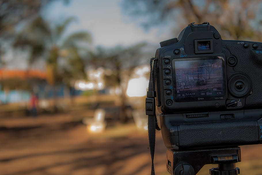 persona, utilizzando, nero, fotocamera dslr, analogico, sfocatura, telecamera, buio, display, dslr, messa a fuoco, paesaggio, lente, luce, all'aperto, parco, strada, cinghia, tecnologia, viaggio, zoom, temi fotografici, macchina fotografica - attrezzatura fotografica, concentrarsi sulle conoscenze acquisite, attrezzatura fotografica, avvicinamento, Camera digitale, nessuno, tripode, attività, Fotografare, tavolo, albero, obiettivo - strumento ottico, giorno, spiaggia, messa a fuoco selettiva, terra, fotocamera reflex, le riprese, mirino digitale, 4K