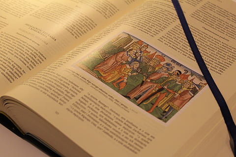bibel, Bestil, Læs, læsning, citere, tekst, passage, tekst passage, litteratur, kristen litteratur, kristen, religion, Kristendom, middelalderen, gamle bog, polsk sprog, polere, tæt, hellige skriftsted, Antiquariat, sjældent, kostbar, værdifuld, tro, religiøs, gammelt script, slog, papir, bog side, skrifttype, Guds ord, hellig, ingen mennesker, indendørs, høj vinkel visning, stilleben, tæt på, offentliggørelse, finansiere, meddelelse, forretning, dokument, gruppe af objekter, side, avis, nummer, vestlige script, åben, fuld ramme, økonomi, 5K, CC0, offentligt domæne, royaltyfrie