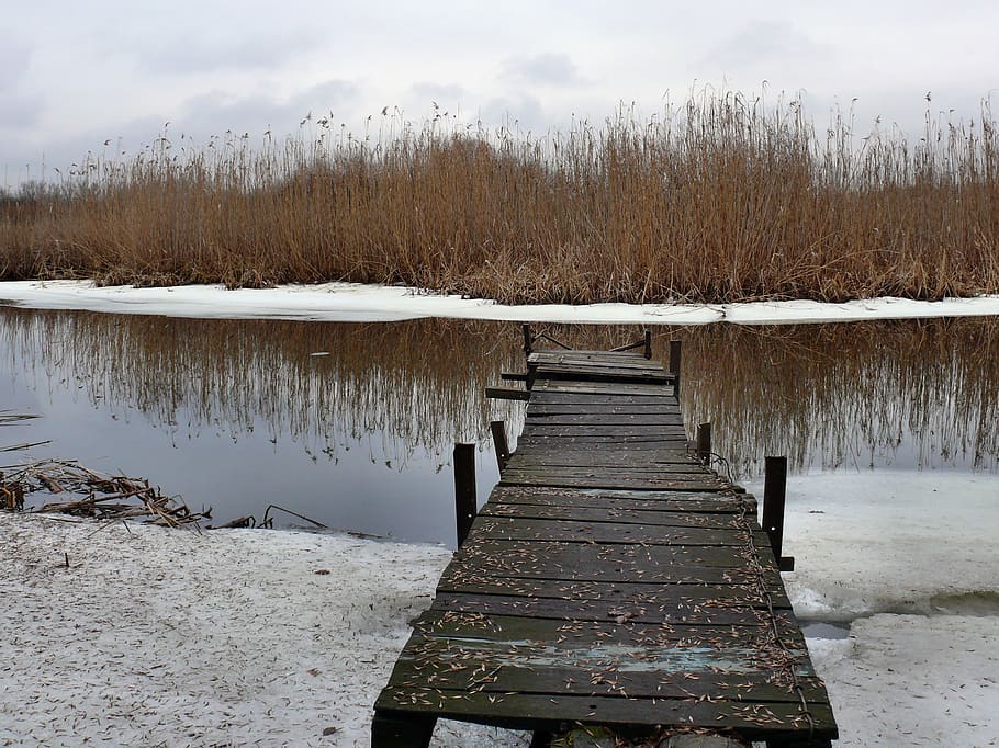 fred, moll, gel, estany, reflexió, riu, neu, aigua, hivern, tranquil·litat, llac, temperatura de fred, bellesa a la natura, escena tranquil·la, cap gent, escenics - natura, naturalesa, material de fusta, núvol - cel, cel, dia, direcció, escena no urbana, arbre, a l'aire lliure, 2K