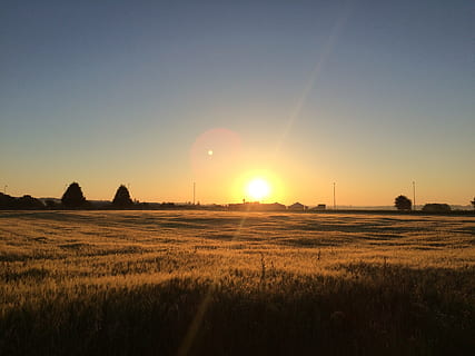 posta de sol, sol, camp, oest, paisatge, tarda, cel, naturalesa, fosc, medi ambient, terra, escenics - natura, tranquil·litat, bellesa a la natura, escena tranquil·la, planta, escena rural, llum solar, cap gent, herba, agricultura, idíl·lic, escena no urbana, flare de la lent, a l'aire lliure, 2K, CC0, domini públic, lliure de regalies