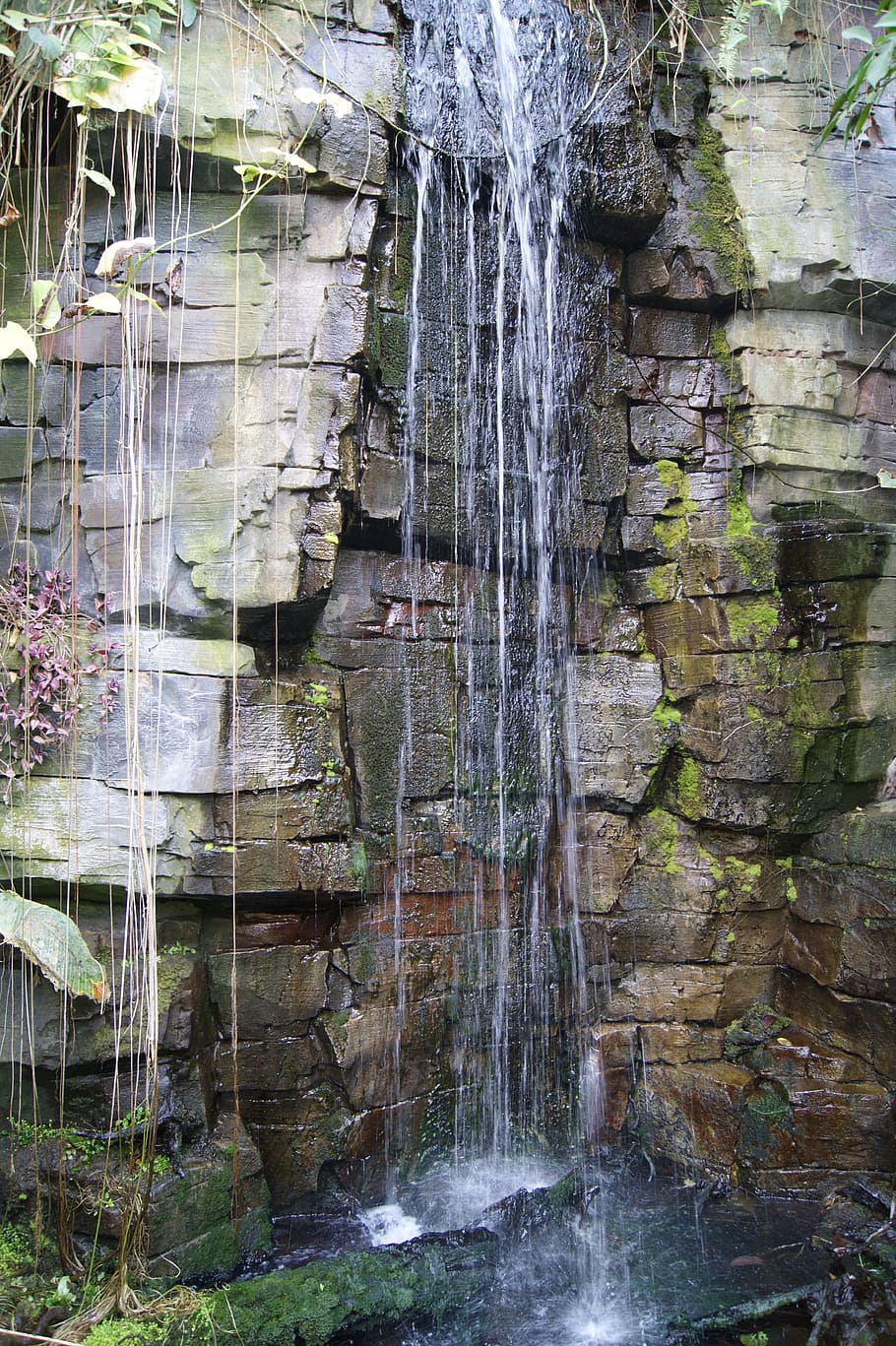 artificial, aquari, cascada, mini, roques, les pedres, aigua, naturalesa, rock - object, cap gent, dia, moviment, arquitectura, rock, exposició llarga, sòlid, formació de roca, planta, aigua que flueix, estructura construïda, moviment borrós, bellesa a la natura, a l'aire lliure, que flueix, caient aigua, 4K