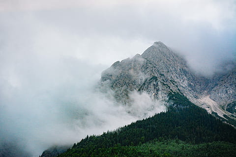 snow cap mountain, omgivet, hvid, skyer, sky-dækket bjerg, bjerg, klipper, træer, tåge, skønhed i naturen, sky - himmel, scenics - natur, natur, miljø, røg - fysisk struktur, geologi, ikke-urbane scene, rolig scene, ingen mennesker, fysisk geografi, dag, jord, landskab, himmel, vulkan, ro, vulkansk krater, udendørs, magt i naturen, bjergtop, 5K, CC0, offentligt domæne, royaltyfrie