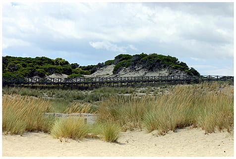 bro, web, dyner, Spania, arkitektur, mallorca, sand, fjell, landskap, sandstrand, anlegg, gress, sandgress, maritime, Strand, hav, kyst, land, sky - himmel, himmel, natur, vann, ingen folk, miljø, naturskjønnhet - natur, skjønnhet i naturen, utendørs, ro, dag, rolig scene, halvtørre, 4K, CC0, offentlig domene, opphavsrett gratis