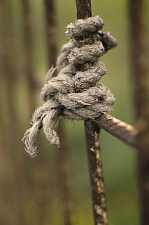 corda, gris, daniel, macro, rovellat, resum, sòlid, connectar, vell, connectat, fons, detall, gastat, perspectiva, primer pla, textura, ningú, jardí, naturalesa, detalls de tirs, bonic, tancar, centrar-se en primer pla, cap gent, dia, lligat, força, enfocament selectiu, a l'aire lliure, nus lligat, terra, planta, patró, seguretat, metall, material de fusta, connexió, retorçat, post de fusta, 4K, CC0, domini públic, lliure de regalies