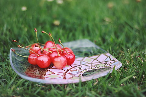 rote Kirschfrüchte, rote Kirsche, Früchte, rot, Lebensmittel, Natur, Gras, Obst, Frische, grüne Farbe, Nahansicht, Sommer-, reif, draußen, Blatt, keine Leute, Essen und Trinken, Tag, gesundes Essen, Wohlbefinden, Pflanze, selektiver Fokus, Feld, Land, Wachstum, Fokus auf den Vordergrund, 1080P, CC0, gemeinfrei, lizenzfrei