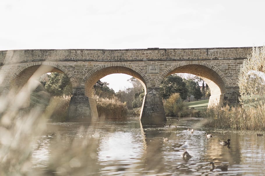 pont d’arc, núvols de cúmuls, gris, concret, pont, riu, pont de maó, ànec, canya, aleksandar jason, 1dx, cànon, hivern, pont vell, 1800, icona australiana, pont tasmanià, Richmond, pont de Richmond, aigua, arc, arquitectura, connexió, reflexió, estructura construïda, pont - estructura feta per l'home, naturalesa, cel, dia, cap gent, planta, a l'aire lliure, història, cel clar, 5K