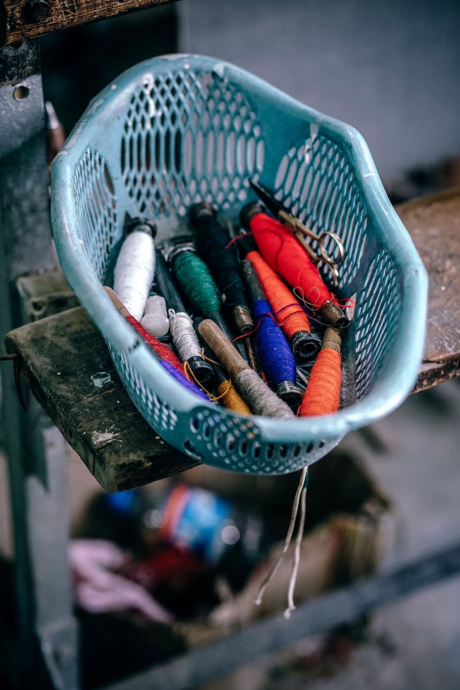 fils, blau, cistella de plàstic, fil, safata, cosir, corbata, industrial, fàbrica, borrós, multicolor, cap gent, aparells de pesca, primer pla, a l'interior, dia, variació, art i artesania, elecció, centrar-se en primer pla, animal, gran grup d'objectes, creativitat, a la venda, contenidor, peix, pescar, enfocament selectiu, vista d’angle alt, temes d'animals, marisc, indústria pesquera, 5K