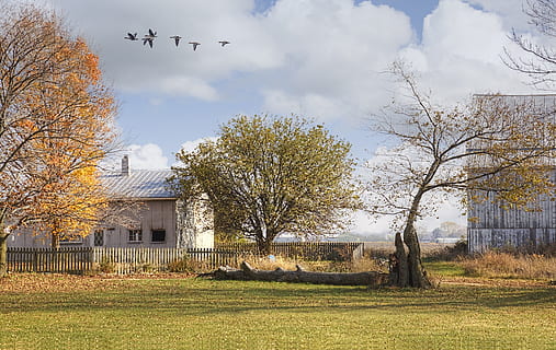 celeiro, rústico, celeiros, ohio, arte digital, rural, cênico, país, campo, cenário, galpão, galpões, Fazenda, fazendas, agricultura, agrícola, casa de fazenda, champaign, município, americana, foto, fotografia, estrutura, Estruturas, sturgell, William Sturgell, conta sturgell, histórico, decoração de casa, prédios, nuvens, céu, árvore, arvores, nublado, céus, ervas daninhas, condado de champaign, urbana, avião, nuvem - céu, veículo aéreo, vôo, arquitetura, plantar, natureza, estrutura construída, exterior do edifício, outono, construção, dia, ninguém, grama, modo de transporte, casa, transporte, pássaro, ao ar livre, 5K, CC0, domínio público, royalty free