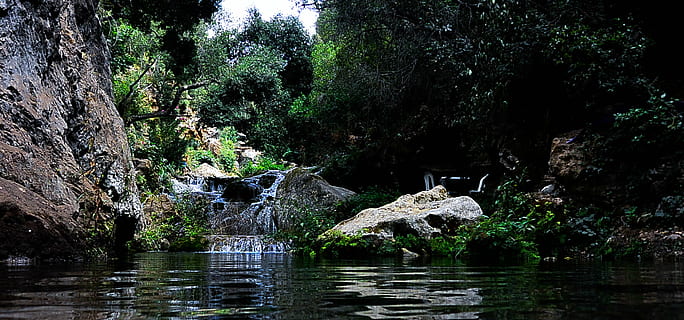 hermoso, ramas, cascada, ambiente, bosque, idílico, selva, paisaje, hojas, naturaleza, río, rocas, escénico, corriente, arboles, agua, flujo de agua, cascadas, desierto, árbol, planta, frente al mar, crecimiento, belleza en la naturaleza, día, nadie, tranquilidad, lago, paisajes - naturaleza, rock, roca - objeto, escena no urbana, sólido, temas de animales, tierra, al aire libre, agua que fluye, fluido, 1080P, CC0, dominio público, libre de derechos
